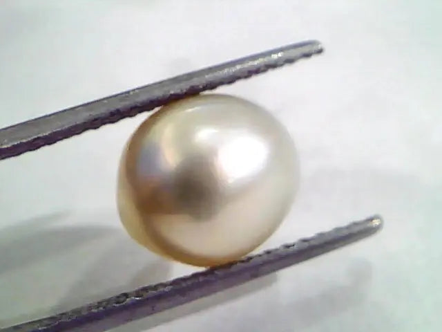 6.96 Ct Natural Certified Real South Sea Pearl,Certified Moti