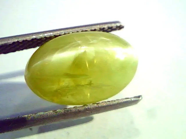 6.93 Ct Top Grade IGI Certified Natural Chrysoberyl Cats Eye AAA