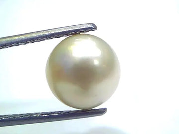 6.96 Ct Natural Certified Real South Sea Pearl Certified Moti