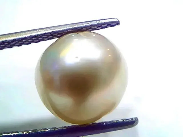 6.97 Ct Natural Certified Real South Sea Pearl Certified Moti - Venus Gems