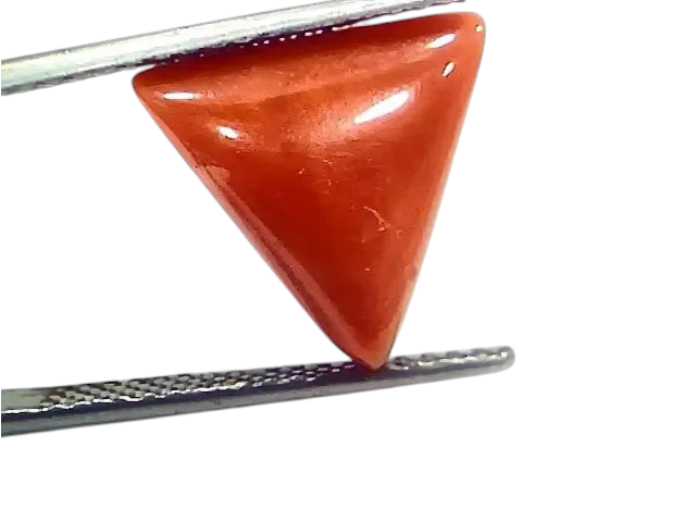 6.95 Ct 7.72 Ratti Natural Italian Triangle Red Coral Moonga Gemstone - Venus Gems