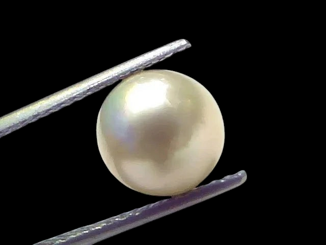 6.45 Ct Natural Certified Real South Sea Pearl Certified Moti - Venus Gems