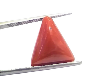 6.69 Ct 7.43 Ratti Natural Italian Triangle Red Coral Moonga Gemstone - Venus Gems