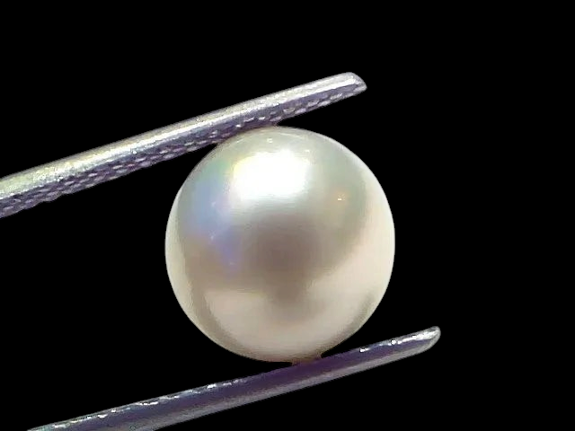 6.88 Ct Natural Certified Real South Sea Pearl Certified Moti - Venus Gems