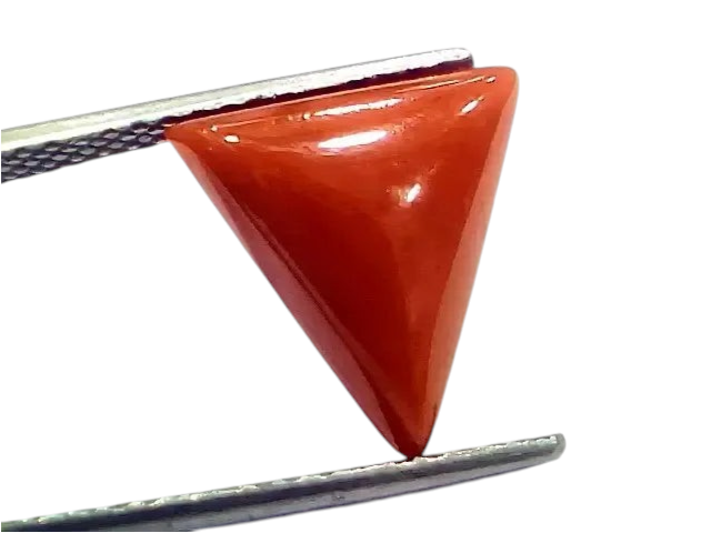 6.27 Ct 6.96 Ratti Natural Italian Triangle Red Coral Moonga Gemstone - Venus Gems