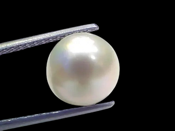 6.72 Ct Natural Certified Real South Sea Pearl Certified Moti - Venus Gems