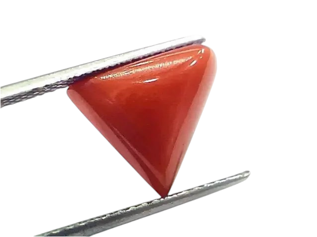 6.81 Ct 7.56 Ratti Natural Italian Triangle Red Coral Moonga Gemstone - Venus Gems