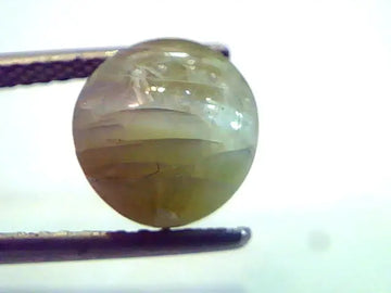 6.08 Ct Untreated Natural Chrysoberyl Cats Eye,Lehsunia Gemstone