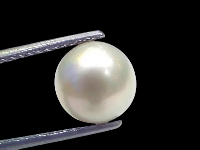 6.44 Ct Natural Certified Real South Sea Pearl Certified Moti - Venus Gems
