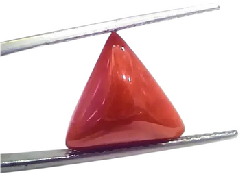 6.25 Ct 6.94 Ratti Natural Italian Triangle Red Coral Moonga Gemstone - Venus Gems
