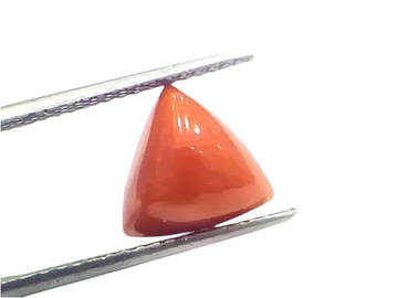 6.85 Ct 7.61 Ratti Natural Italian Triangle Red Coral Moonga Gemstone - Venus Gems