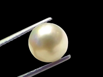 6.27 Ct Natural Certified Real South Sea Pearl Certified Moti - Venus Gems