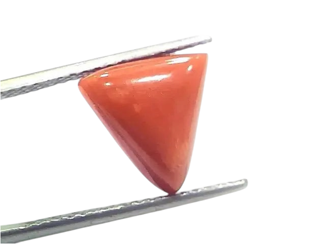 6.09 Ct 6.76 Ratti Natural Italian Triangle Red Coral Moonga Gemstone - Venus Gems