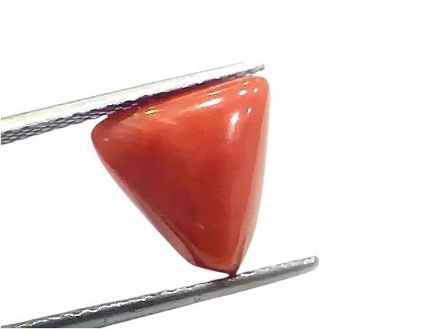 6.73 Ct 7.47 Ratti Natural Italian Triangle Red Coral Moonga Gemstone - Venus Gems
