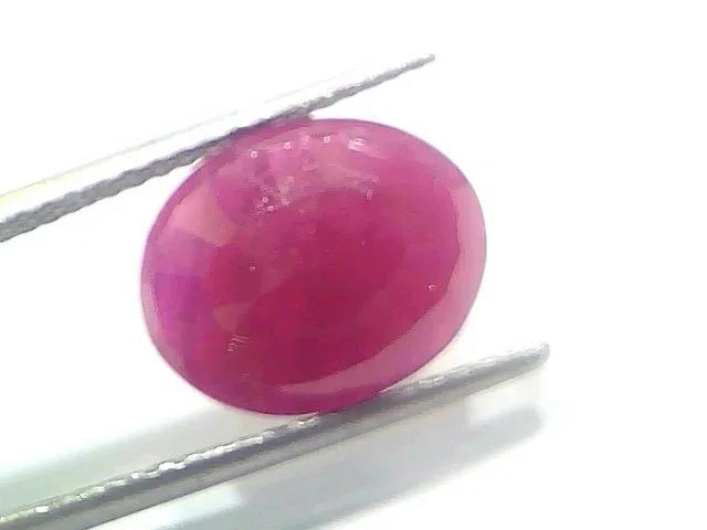 6.30 Ct Certified Unheated Untreated Natural New Burma Ruby - Venus Gems