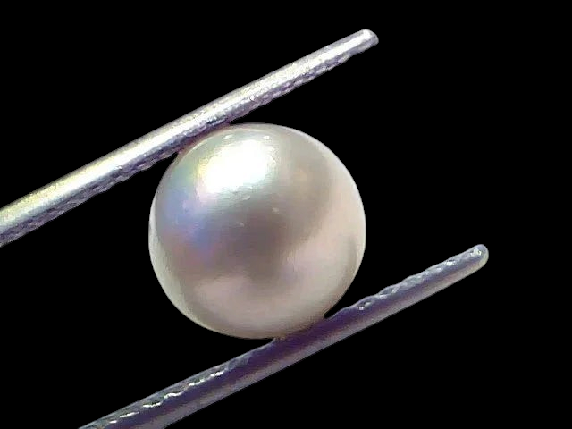 6.06 Ct Natural Certified Real South Sea Pearl Certified Moti - Venus Gems