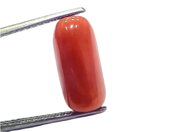6.60 Ct 7.33 Ratti Natural Italian Red Coral Moonga Gemstone - Venus Gems