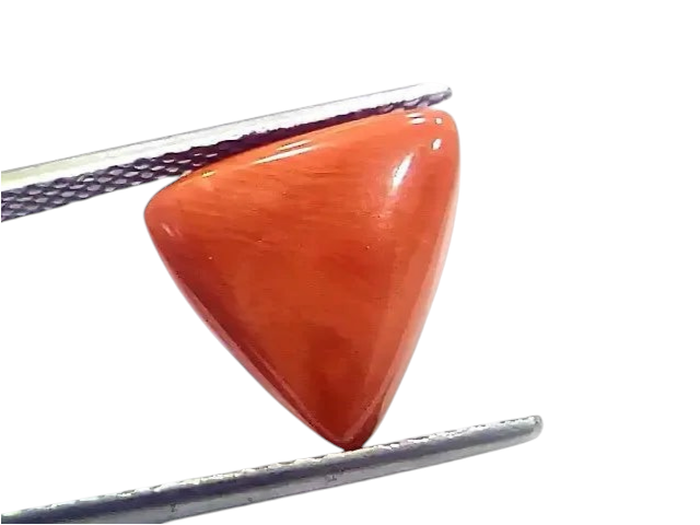 6.94 Ct 7.71 Ratti Natural Italian Triangle Red Coral Moonga Gemstone - Venus Gems