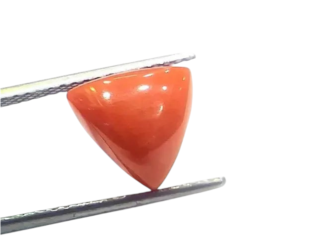 6.85 Ct 7.61 Ratti Natural Italian Triangle Red Coral Moonga Gemstone - Venus Gems