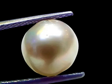 6.97 Ct Natural Certified Real South Sea Pearl Certified Moti - Venus Gems