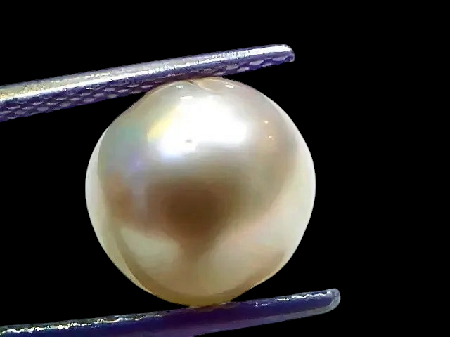 6.97 Ct Natural Certified Real South Sea Pearl Certified Moti - Venus Gems