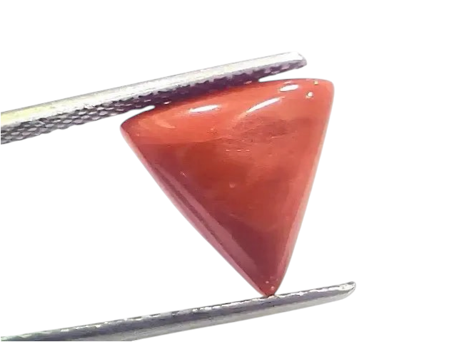 6.00 Ct 6.66 Ratti Natural Italian Triangle Red Coral Moonga Gemstone - Venus Gems