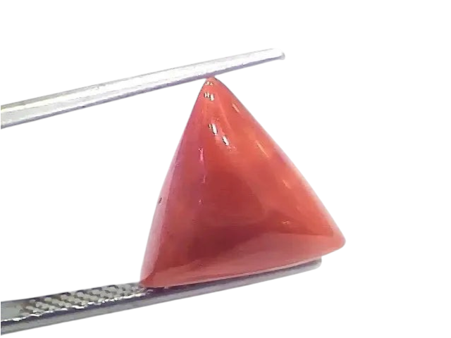 6.00 Ct 6.66 Ratti Natural Italian Triangle Red Coral Moonga Gemstone - Venus Gems