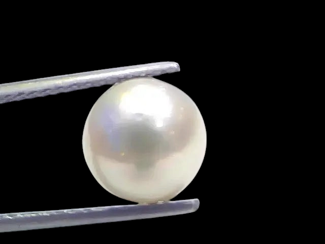 6.80 Ct Natural Certified Real South Sea Pearl Certified Moti - Venus Gems