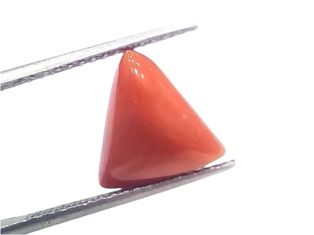 6.09 Ct 6.76 Ratti Natural Italian Triangle Red Coral Moonga Gemstone - Venus Gems