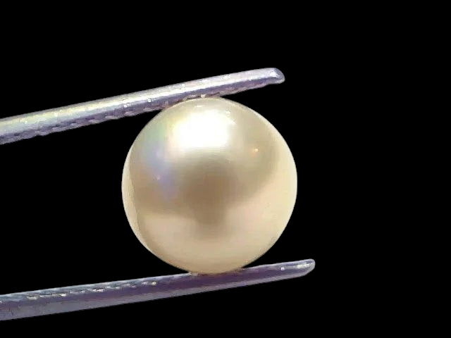 6.57 Ct Natural Certified Real South Sea Pearl Certified Moti - Venus Gems
