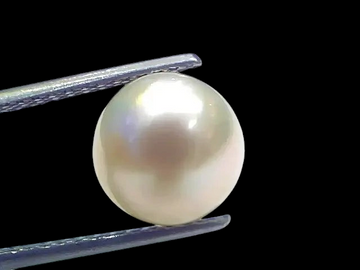6.63 Ct Natural Certified Real South Sea Pearl Certified Moti - Venus Gems