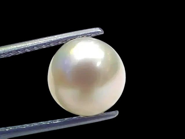 6.63 Ct Natural Certified Real South Sea Pearl Certified Moti - Venus Gems