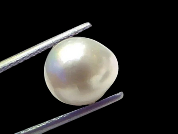 6.55 Ct Natural Certified Real South Sea Pearl Certified Moti - Venus Gems