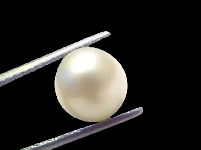 6.52 Ct Natural Certified Real South Sea Pearl Certified Moti - Venus Gems