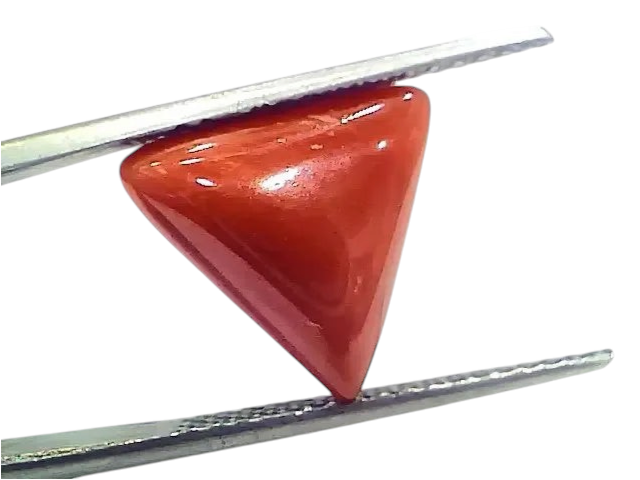 6.25 Ct 6.94 Ratti Natural Italian Triangle Red Coral Moonga Gemstone - Venus Gems