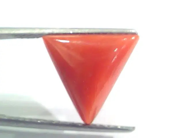 7.04 Ct 11.7 Ratti Natural Italian Triangle Red Coral Moonga Gemstone
