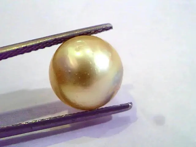 7.05 Carat Natural Certified Real South Sea Pearl,Certified Moti