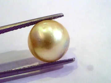 7.05 Carat Natural Certified Real South Sea Pearl,Certified Moti