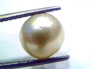 7.10 Ct Natural Certified Real South Sea Pearl Certified Moti - Venus Gems