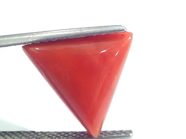 7.13 Ct 11.8 Ratti Natural Italian Triangle Red Coral Moonga Gemstone