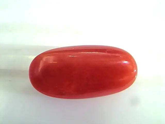 7.12 Ct Untreated Natural Premium Italian Red Coral AAAAA