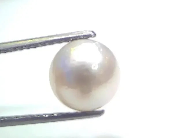 7.03 Ct Natural Certified Real South Sea Pearl Certified Moti - Venus Gems