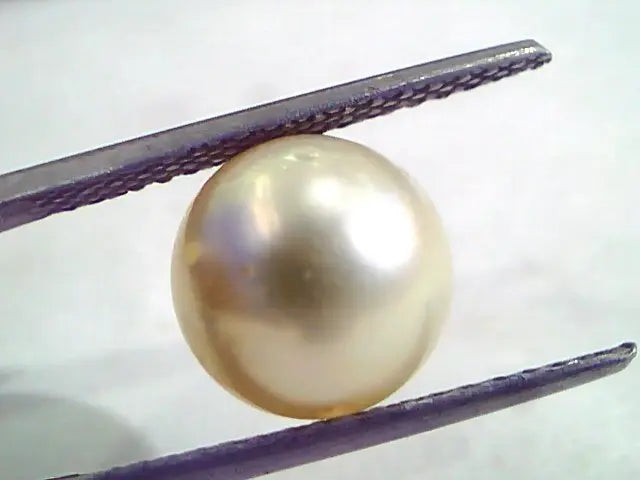 7.18 Carat Natural Certified Real South Sea Pearl,Certified Moti