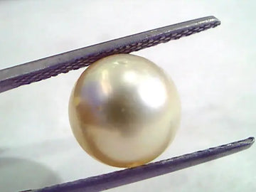 7.18 Carat Natural Certified Real South Sea Pearl,Certified Moti