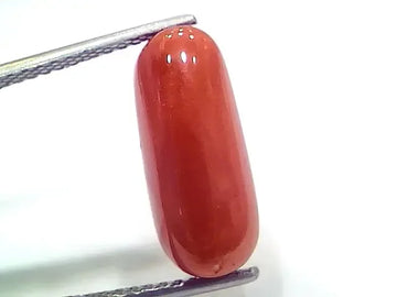 7.14 Ct 7.93 Ratti Natural Italian Red Coral Moonga Gemstone - Venus Gems
