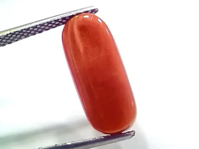7.14 Ct 7.93 Ratti Natural Italian Red Coral Moonga Gemstone - Venus Gems