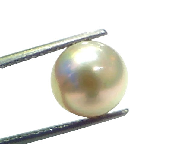 7.19 Ct Natural Certified Real South Sea Pearl Certified Moti