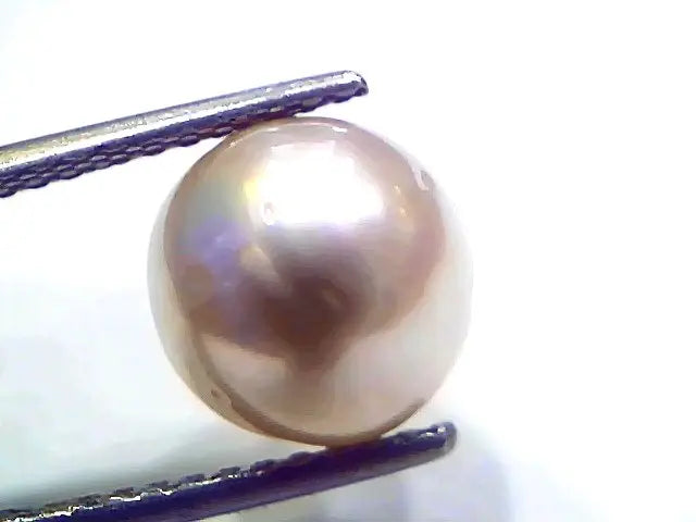 7.18 Ct Natural Certified Real South Sea Pearl Certified Moti