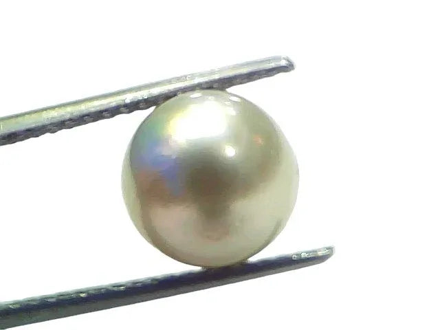 7.19 Ct Natural Certified Real South Sea Pearl Certified Moti - Venus Gems