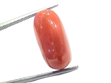 7.18 Ct 7.96 Ratti Natural Untreated Italian Red Coral Moonga Gems - Venus Gems